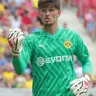 Gregor Kobel